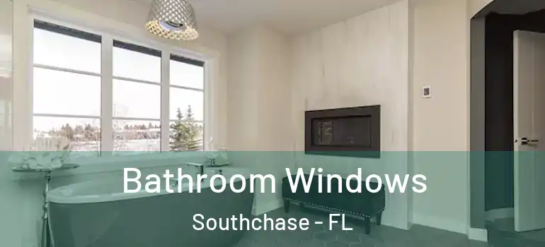  Bathroom Windows Southchase - FL
