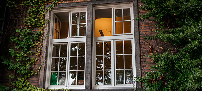 Energy Efficient Wood Windows in Southchase, FL